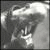520.gif